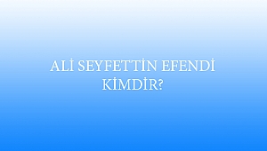 ALİ SEYFETTİN EFENDİ KİMDİR?