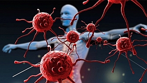 Bağışıklık Sistemini Güçlü Tutmanın 8 Yolu