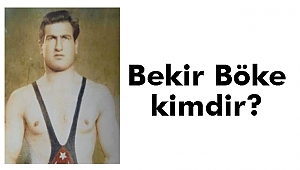 Bekir Böke kimdir?