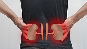 BÖBREK HASTALIKLARINDA DA KADIN ERKEK FARKI VAR!