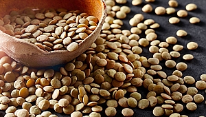 Çin'e gıda ihracatımız 3 yılda yüzde 100 arttırdık hedef büyüttük