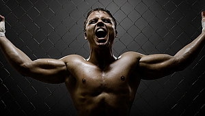 Colosseum Turnuvası, Romanya'dan canlı yayınla FightBox HD ekranlarında