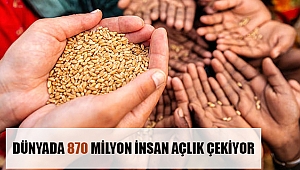 DÜNYADA 870 MİLYON İNSAN AÇLIK ÇEKİYOR