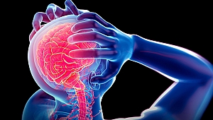 EPİLEPSİDE HEDEF TAM NÖBETSİZLİK