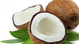 HİNDİSTAN CEVİZİ YAĞI METABOLİZMAYI HIZLANDIRIYOR