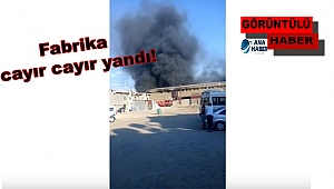 Kahramanmaraş'ta Fabrika Cayır Cayır Yandı!
