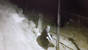 Kahramanmaraş'ta inek hırsızı suçüstü yakalandı! 