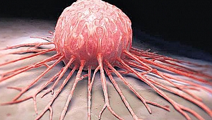 KANSERE KARŞI KORUYUCU OLAN 5 VİTAMİN