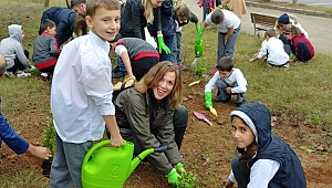 LG Electronics Türkiye, 