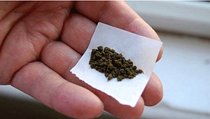 Maraş Ağızotu hakkında her şey