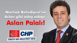 Nurhak’a Aslan gibi aday adayı: Aslan Palalı!