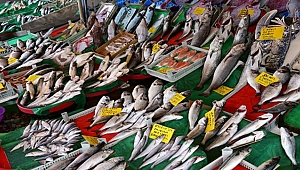 Olumsuz Hava Koşulları Balık Fiyatlarını Vurdu