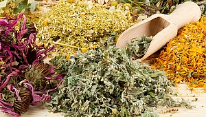 Otlarla tedavinin telafisi yok