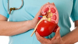 Sağlıklı böbreklerin sırrı: Az tuz, çok su!