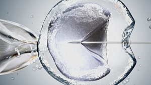Tüp bebek yönteminde genetik test ile kadın yaşının önemi bitiyor mu?