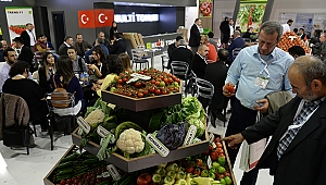 Türkiye Sera Pazarı Büyüyor