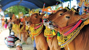 Ülkelere özgü adab-ı muaşeret kuralları!