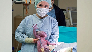 Vajinal tohumlama nedir?