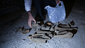  Adana'da sit alanında kemik bulundu