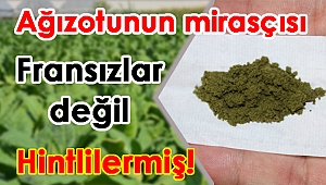 Ağızotunun mirasçısı Fransızlar değil Hintlilermiş!