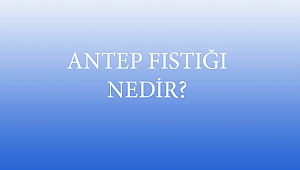 ANTEP FISTIĞI NEDİR?