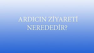  ARDICIN ZİYARETİ NEREDEDİR?