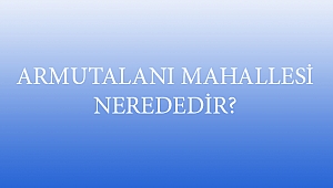 ARMUTALANI MAHALLESİ NEREDEDİR?