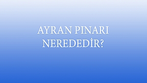 AYRAN PINARI NEREDEDİR?