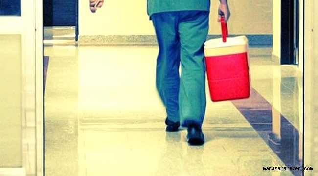 BABASININ VERDİĞİ BÖBREKLE YAŞAMA TUTUNDU