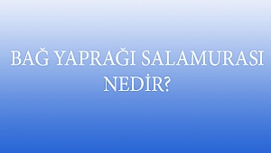 BAĞ YAPRAĞI SALAMURASI NEDİR?