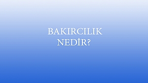  BAKIRCILIK NEDİR?