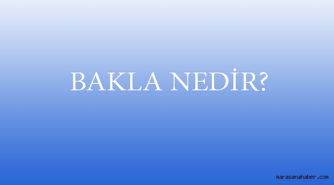 BAKLAVA NEDİR?