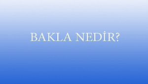 BAKLAVA NEDİR?