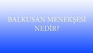 BALKUSAN MENEKŞESİ NEDİR?