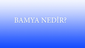 BAMYA NEDİR?