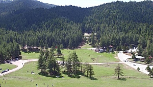 BAŞKONUŞ YAYLASI NEREDEDİR?