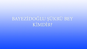 BAYEZİDOĞLU ŞÜKRÜ BEY KİMDİR?