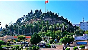 BAYRAK OLAYI NEDİR?