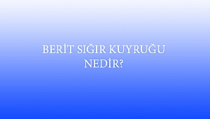 BERİT SIĞIR KUYRUĞU NEDİR?