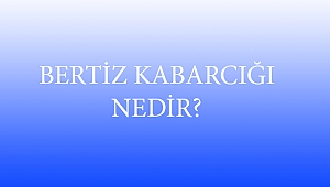 BERTİZ KABARCIĞI NEDİR?