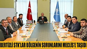 Bertizli STK’lar Bölgenin Sorunlarını Meclis’e Taşıdı