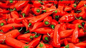 BİBER (KIRMIZI VE BAHARATLIK BİBER) NEDİR?