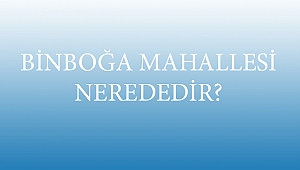BİNBOĞA MAHALLESİ NEREDEDİR?
