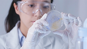 Bu yöntem kısırlığa umut oluyor