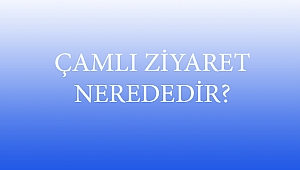 ÇAMLI ZİYARET NEREDEDİR?