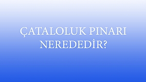 ÇATALOLUK PINARI NEREDEDİR?