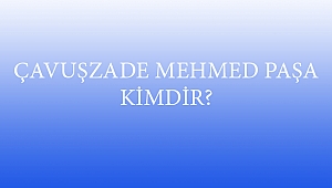 ÇAVUŞZADE MEHMED PAŞA KİMDİR?