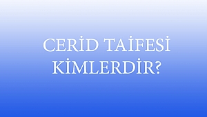 CERİD TAİFESİ KİMLERDİR?