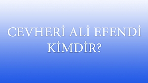 CEVHERİ ALİ EFENDİ KİMDİR?