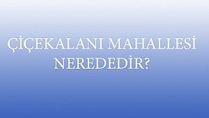 ÇİÇEKALANI MAHALLESİ NEREDEDİR?